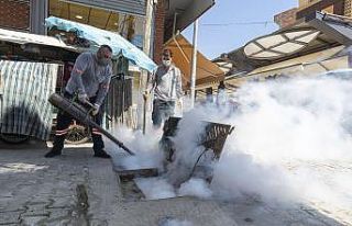 Semt pazarları ilaçlanıyor