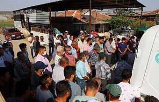 Serinlemek için girdiği havuzda boğulan genç toprağa...