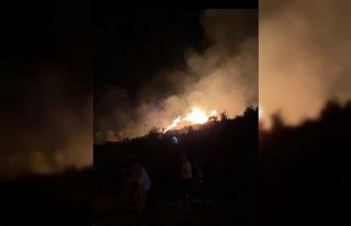 Servis aracında başlayan yangın ormana sıçradı