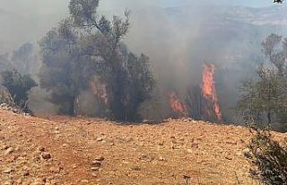 Seydikemer’de bir yangın daha