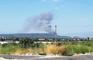 Seydikemer’de orman yangını