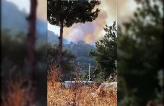 Seydikemer’de orman yangını başladı