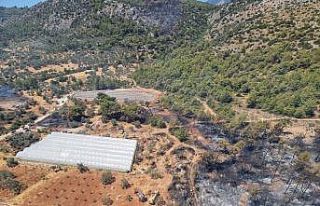 Seydikemer’de orman yangını kontrol altına alındı