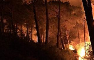 Seydikemer’de üç ayrı noktada orman yangını...