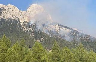 Seydikemer’deki yangın kısmen kontrol altına...