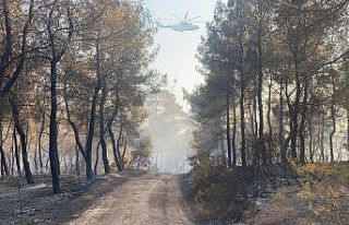 Seydikemer’deki yangın kontrol altına alındı