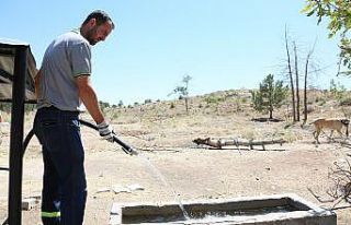 Sıcaklıklar arttı, Meram’da can dostlar unutulmadı