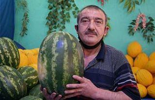 Sıcaklıklar karpuz fiyatlarını yükseltti