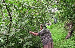 Şiddetli yağmurda istinat duvarı böyle çöktü