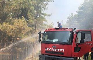 Siirt belediyesi itfaiye ekipleri, Manavgat’ta görev...
