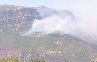 Siirt’te orman yangını