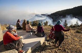 Silifke ve Aydıncık’ta yaklaşık 14 bin hektar...