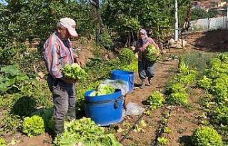 Sındırgı’nın doğal ürünler mahallesi Pürsünler