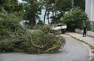 Sinop’ta şiddetli fırtına: 1 boğulma