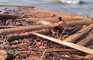 Sinop’ta tomrukların arasında bir ceset daha bulundu