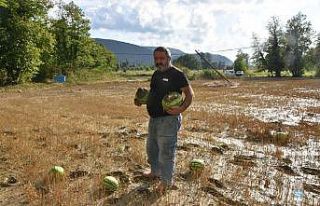 Sinop’ta yaşanan sel felaketi karpuz tarlasını...