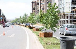 Sivas Belediyesi’nin ağaçlandırma çalışmaları...