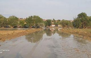 Sivrihisar’da sel hayvanları ve tarlaları vurdu