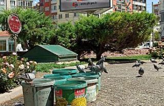 Sokak hayvanlarına 20 yıldır kova kova su taşıyor