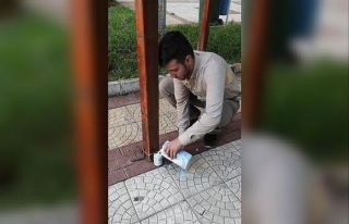 Sokaklara hayvanlar için süt bırakıldı