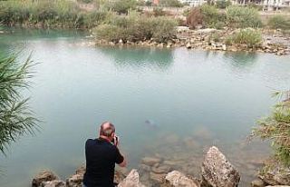 Suda erkek cesedi bulundu