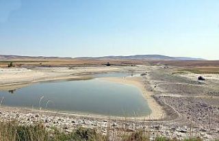 Sulama göletinde su kalmayınca balıkçılar akın...