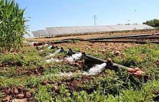 Sulama için güneş sistemi kurdu, elektrik masrafından...