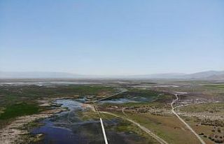 Sultan Sazlığı ihaleye çıkıyor