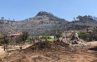 Sütçüler’deki yangın büyük ölçüde kontrol...