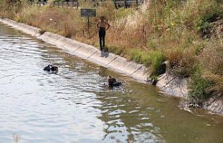 Suya düşen topunu almak isteyen çocuk kanala düştü