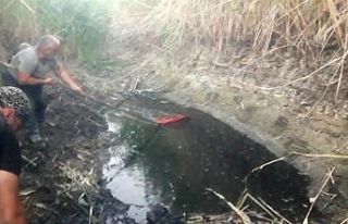 Suyu biten göletten 4 bin balığı kurtardılar