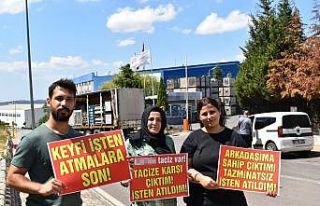 Tacizi yönetime anlattılar, işten atıldılar