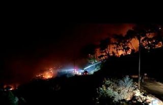 Tarihi Amos Antik Kenti çevresindeki yangına TOMA...