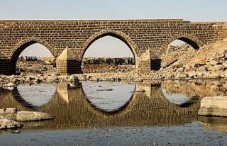 Tarihi Dilaver Köprüsü’nün korunması için...