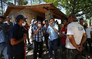 Tarım İl Müdürü Saylak, saldırılara sosyal...