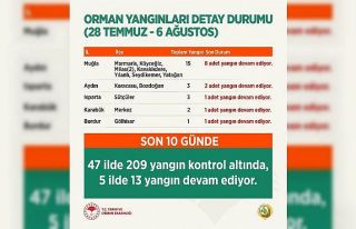 Tarım ve Orman Bakanı Pakdemirli, orman yangınlarına...