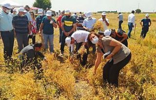 “Tarla Günü” etkinliği düzenlendi