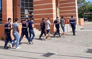 Tarladan mısır çaldıkları iddiasıyla gözaltına...