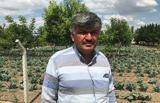 Tarlam temizlensin derken verimden olmayın