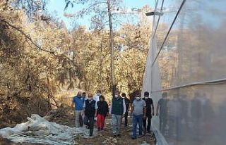 TARSİM’den Mersin, Antalya ve Muğla’ya ziyaret