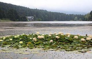 Tatilciler serinleyen havanın tadını Gölcük’te...