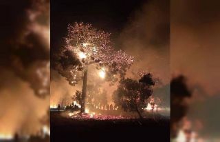 Tavaklı köyünde orman yangını yeniden başladı