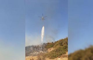 Tavaklı’daki orman yangını kısmen kontrol altında