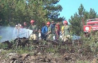 Tavşanlı’da ormanlık alanda çıkan yangın büyümeden...