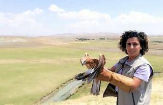 Tedavileri tamamlanan kuşlar doğaya salındı