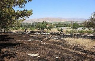 Tefenni ilçesindeki yangın ormana sıçramadan söndürüldü