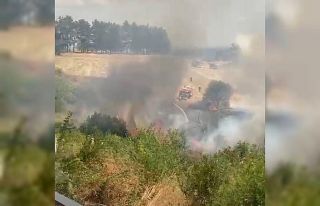 Tekirdağ’da 2 ayrı alanda korkutan yangın