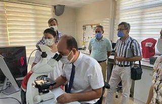 Tekirdağ’da buğday analizleri başladı: Dış...