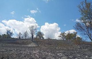 Tekirdağ’da yangın