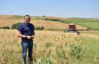 Tekirdağ’da yılın ilk nohut hasadı